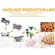 Hazelnut Screening Equipment